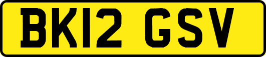 BK12GSV