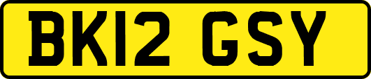 BK12GSY