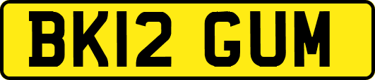 BK12GUM