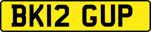 BK12GUP
