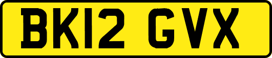 BK12GVX