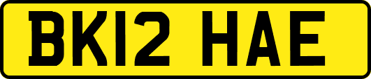 BK12HAE