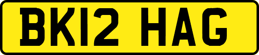 BK12HAG