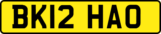 BK12HAO