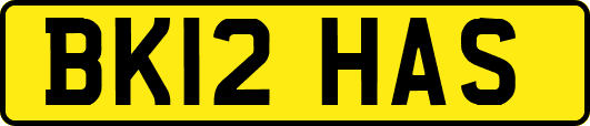 BK12HAS