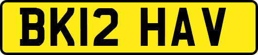 BK12HAV