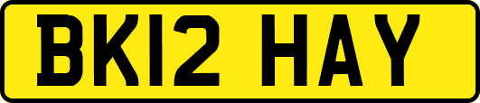 BK12HAY