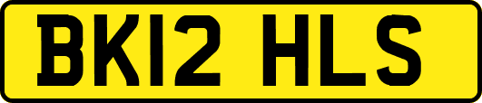 BK12HLS