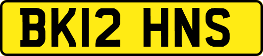 BK12HNS