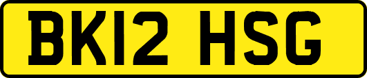 BK12HSG