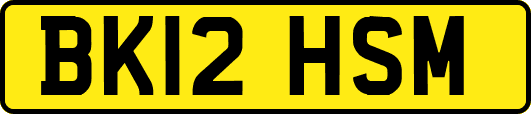 BK12HSM