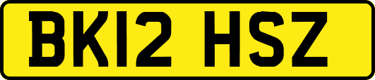 BK12HSZ