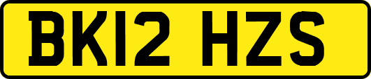 BK12HZS