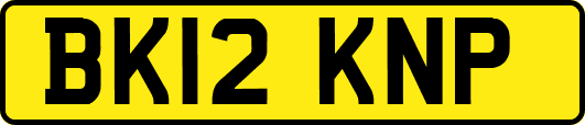 BK12KNP