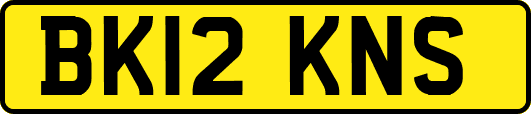 BK12KNS