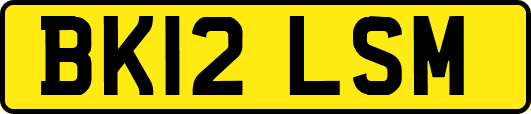 BK12LSM