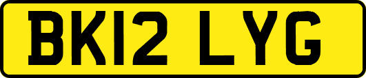 BK12LYG