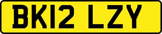 BK12LZY