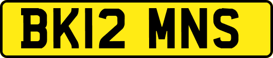 BK12MNS