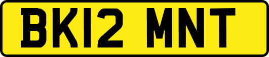 BK12MNT