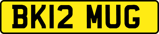 BK12MUG