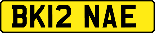 BK12NAE