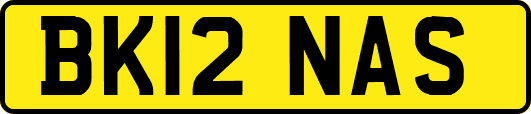 BK12NAS