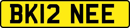 BK12NEE