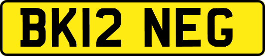 BK12NEG
