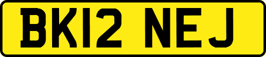 BK12NEJ