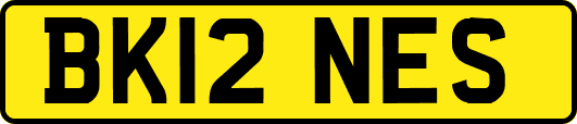 BK12NES