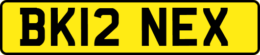 BK12NEX