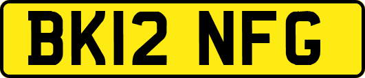 BK12NFG