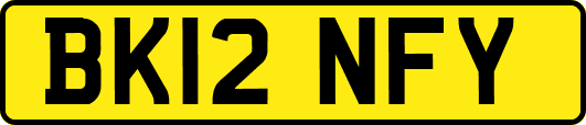 BK12NFY