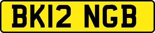 BK12NGB