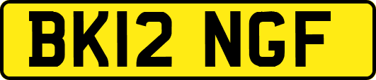 BK12NGF