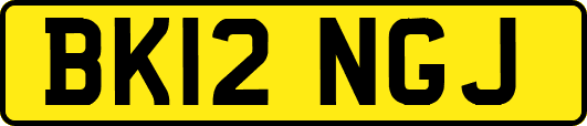 BK12NGJ