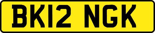 BK12NGK