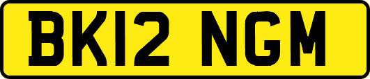 BK12NGM