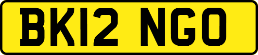 BK12NGO