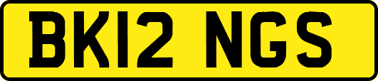BK12NGS