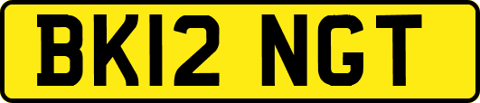 BK12NGT
