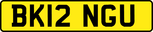 BK12NGU
