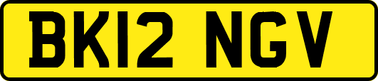 BK12NGV