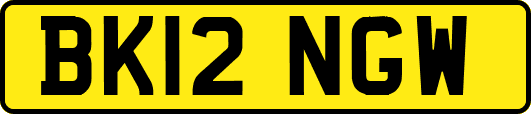 BK12NGW