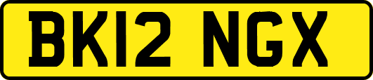 BK12NGX