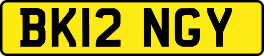 BK12NGY