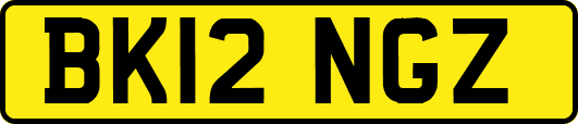 BK12NGZ