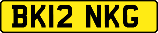 BK12NKG