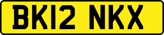 BK12NKX